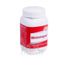 Wobenzym tbl.ent. 800