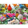 Puzzle 2D 500 dielikov Vtáky v záhrade