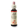 bachova esence č. 26 ROCK ROSE - Devaterník peníz. (originální bachovy esence z Anglie - vyráběno od roku 1939 - balení kapky 20 ml ve skle s kapátkem, konzervováno v alkoholu 27 %)