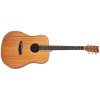 TANGLEWOOD TWU D