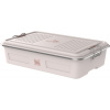 STANLEY Legendary Useful Storage Box 2l Rose Quartz