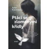 Ptáci se zlomenými křídly - Kulinová Ayşe