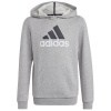 Sweatshirt adidas Big Logo 2 Hoody Jr. HB4362 (116803) Black 140 CM