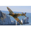 Corgi - Supermarine Spitfire T9, Spitfires.com - Goodwood Aerodrome, SM520, 1/72