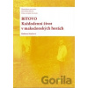 Bitovo - Barbora Machová