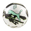 Lopta PUMA NEYMAR JR GRAPHIC BALL 08502301 – Biela