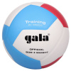 GALA BV5565S Training 12 volejbalový míč velikost míče č. 5