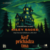 Keď prichádza tma - Riley Sager - online doručenie