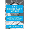 Can Democracy Work : A Short History of a Radical Idea, from Ancient Athens to Our World