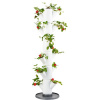GUSTA GARDEN GG-100519