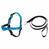 PetSafe Easy Walk Deluxe postroj Ocean Blue - mäkký postroj a vodítko pre psa, čierno-modrý - S