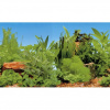 Ferplast Blu 9049 Background 100x50cm