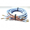 Repro kabel:Supra XL Annorum 2x3.2 Combicon / 2x3,0m