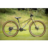 Junior bicykel - F.L.Y 24 DISC OLIVE RÁM 11CALI (F.L.Y 24 diskový olivový rám 11 palcov)