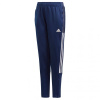 Adidas Tiro 21 Training Jr GK9659 pants (66091) 116cm