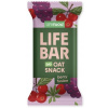 Lifefood Lifebar Oat Snack ovocný BIO 40 g