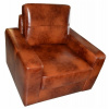 Casarredo Kreslo MODERN kože koža S-38