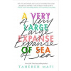 A Very Large Expanse of Sea
