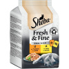 Sheba Mini Fresh & Fine kura a morka v šťave 6 x 50 g