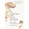 Mushroom at the End of the World