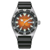 Citizen NY0120-01ZC