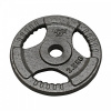 HAMMERTONE Liatinový nakladací činkový kotúč HAMMERTONE 2,5kg 29mm P0025