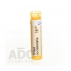 Thuya Occidentalis gra.1 x 4 g 15CH