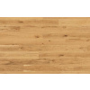 Tarkett Pure DUB RUSTIC PLANK XT 7879004