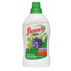 Hnojivo Clematis 1L Florovit (Hnojivo Clematis 1L Florovit)