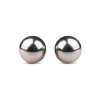 Easytoys Geisha Collection Silver ben wa balls