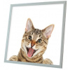Ortus LED panel s motívom mačka, 60 × 60 cm