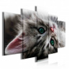 Obraz na plátne viacdielny - OB3753 - Mačiatko 100cm x 60cm - S17