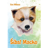 Šibal Macko