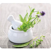 Wenko HERB GARDEN skleněná ochranná deska na sporák – velká, WENKO