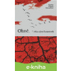 E-kniha Ohně. Láska a jiné katastrofy - Sigridur Hagalin Björnsdóttir