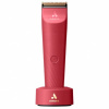 Andis Vida Raspberry