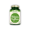 Psyllium fibre 96 vegánskych kapsúl