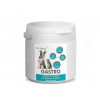 Dromy GASTRO 250g Dromy