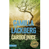 Čarodějnice - Camilla Läckberg