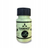 Cadence Premium Akrylové farby svietiace v tme 50 ml zelená