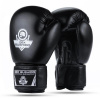 BUSHIDO Boxerské rukavice DBX ARB-Black - 10oz.