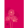 Passion Translation New Testament with Psalms Proverbs and Song of Songs (2020 Edn) Compact Fuscia Pink Faux Leather