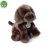 Eco-Friendly Rappa pes labrador sediaci 26 cm