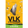 E-kniha Vlk z Wall Street - Jordan Belfort