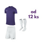 Futbalová sada Nike Park VI pre celé mužstvo, od 12 ks, fialová počet ks v sade: 17 hráčskych setov