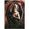 Puzzle 1000 Anne Stokes - Rose, Bluebird Puzzle (Puzzle 1000 Anne Stokes - Rose, Bluebird Puzzle)