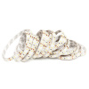 ECOLIGHT LED pásik - SMD 2835 - 5 m - 60 LED/m - 10,8 W/m - 24V - IP65 - neutrálna biela