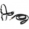 PetSafe Easy Walk Harness Black - postroj a vodítko pre psa, čierna sada - M
