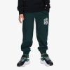 Champion Rib Cuff Pants L