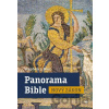 Panorama Bible - Nový zákon - Stephen J. Binz